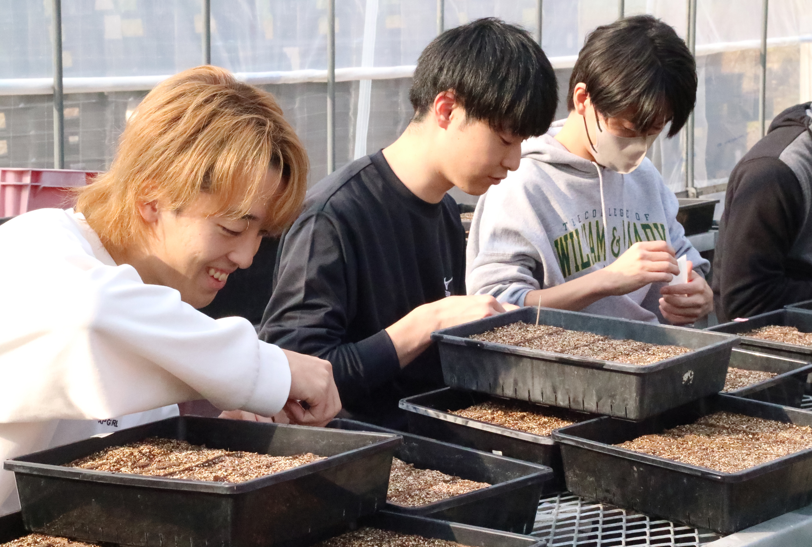 学生の学びの様子